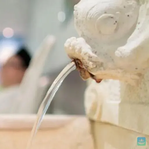 Eau thermale de Dax - Thermes Bérot